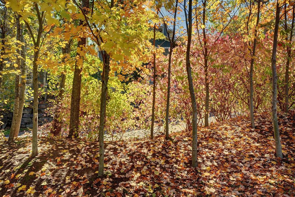 Jardin Du Village By Chez Tremblant Mont-Tremblant Camera foto